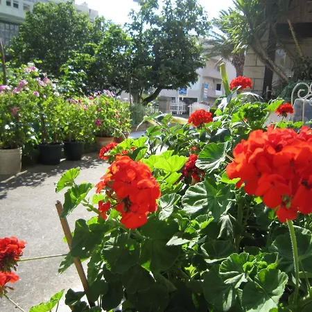 Apartment Olga 2 *